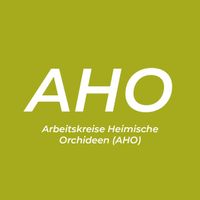 Logo AHO