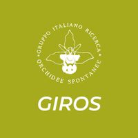 Logo GIROS